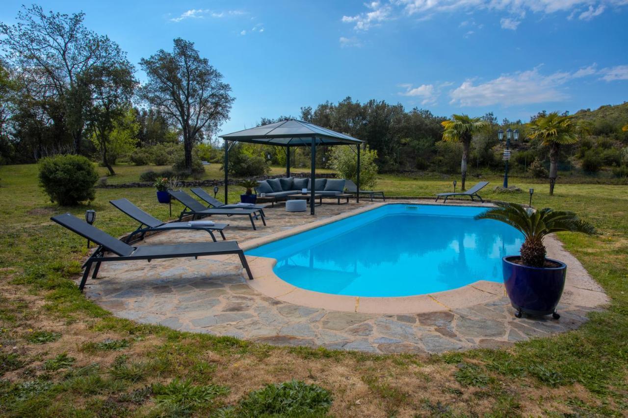 Villa Catalpa Avec Piscine Le Muy Buitenkant foto